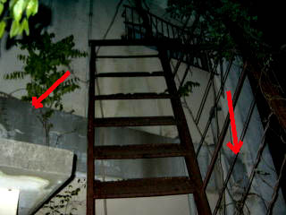 e0103408_1632150.jpg
