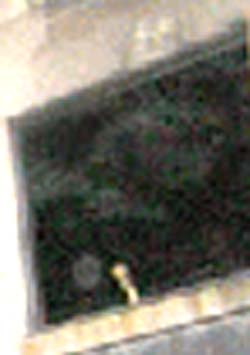 e0103408_1633864.jpg