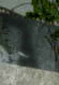 e0103408_163564.jpg
