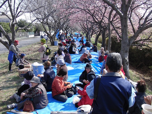 田宿川・滝川・沼川のお花見ウォーク　その2_f0141310_703819.jpg