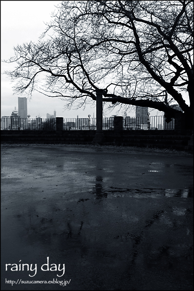 今週は雨続き_f0100215_22135065.jpg