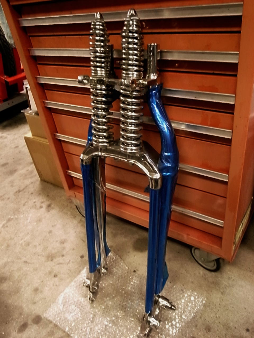Shocks for Springer_b0160319_2031895.jpg
