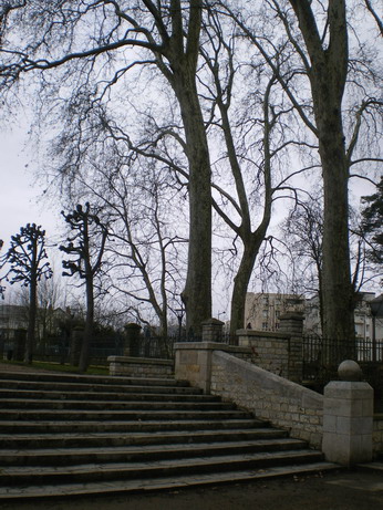 c0124619_4132426.jpg