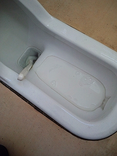 トイレには・・・・_e0091220_20235719.jpg