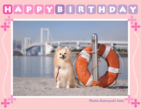 パールちゃん、お誕生日おめでとう♪_d0102523_120239.jpg