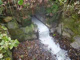 d0086228_16502831.jpg