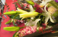 c0103830_14241586.jpg