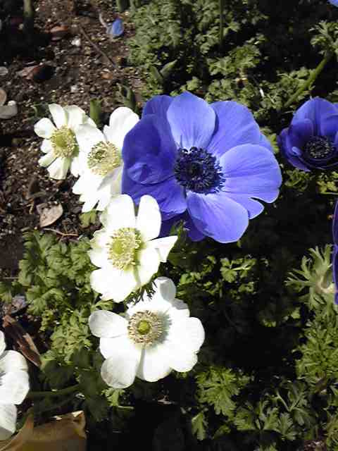 c0218031_02446100.jpg