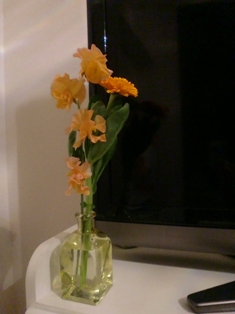 c0221732_338169.jpg