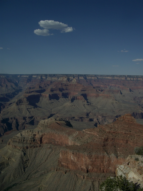 canyon _b0172633_9254324.jpg