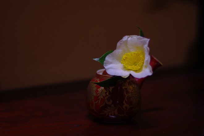 e0171336_036966.jpg