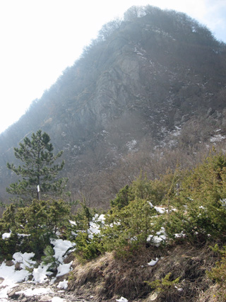 雪のラヴェルナ2_f0234936_6434275.jpg