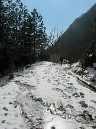 雪のラヴェルナ2_f0234936_6442884.jpg