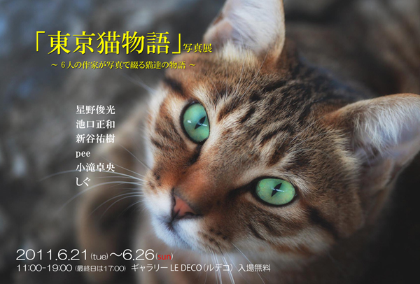 「東京猫物語」写真展DMデザインできました。_c0226637_050177.jpg