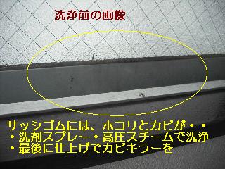 ハウスクリーニング_f0031037_2055611.jpg