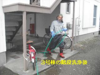 ハウスクリーニング_f0031037_2056337.jpg
