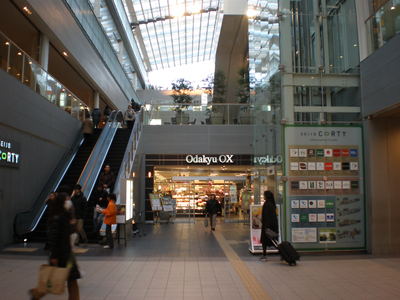 b0042238_20481.jpg