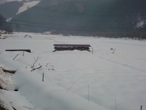 e0036246_21273190.jpg