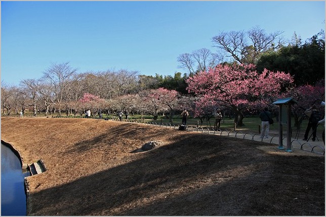 OKAYAMA　後楽園（前編）_b0210154_1983162.jpg