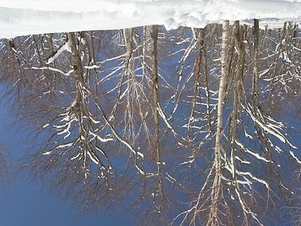 c0113755_0292761.jpg