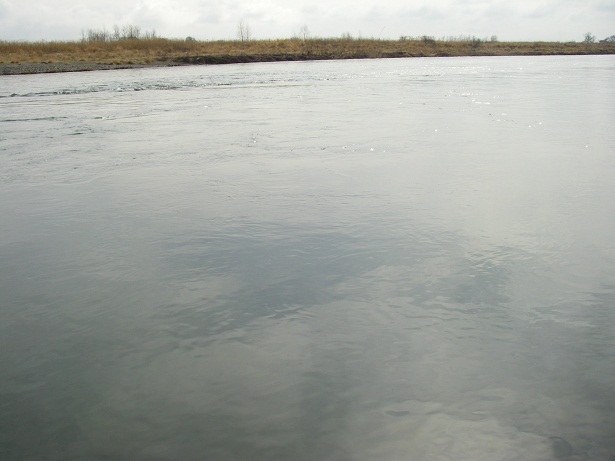 f0212059_22211835.jpg