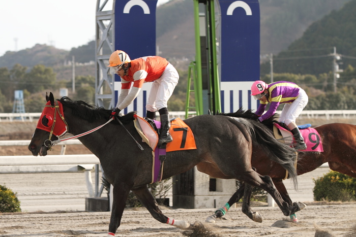 2011年2月26日（土） 高知競馬 2R 緊急特別企画 Tosa-Bingo騎手交流 第1戦 C2-3選抜馬_a0077663_7201963.jpg