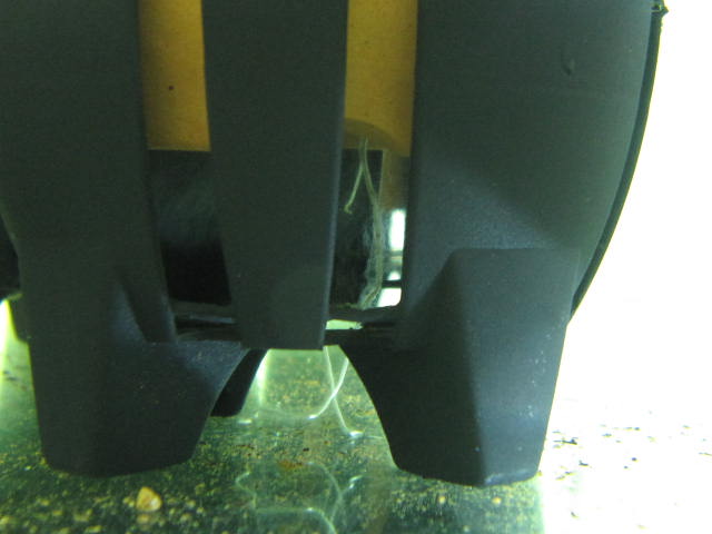 a0188677_1952829.jpg