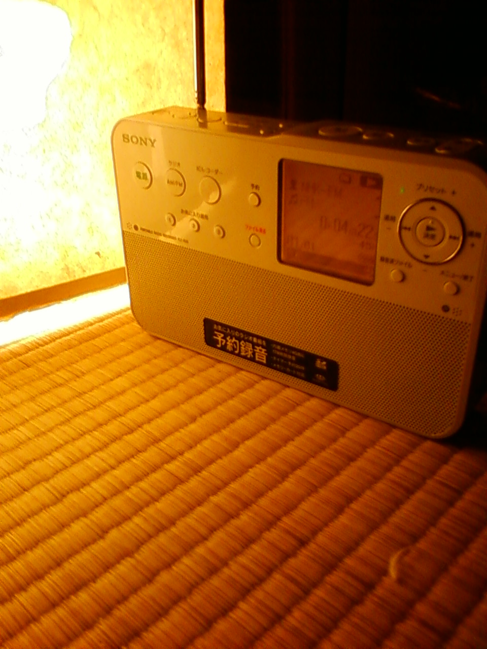 f0064278_011359.jpg