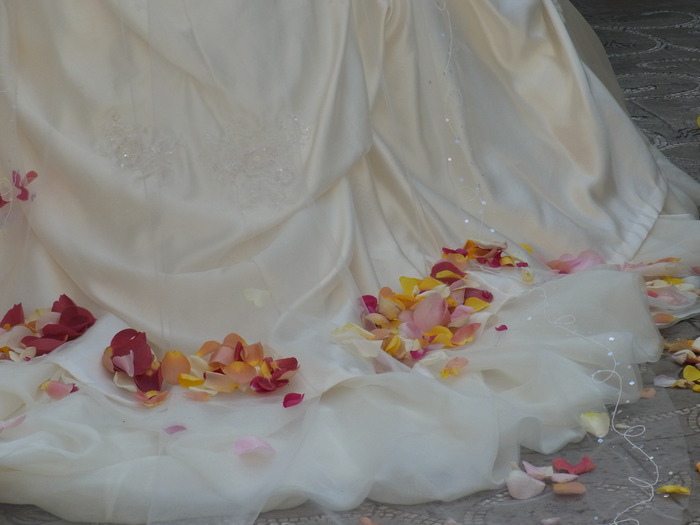 姉の結婚式_b0206085_13304873.jpg