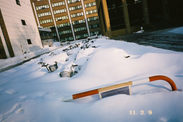 e0051186_20121261.jpg