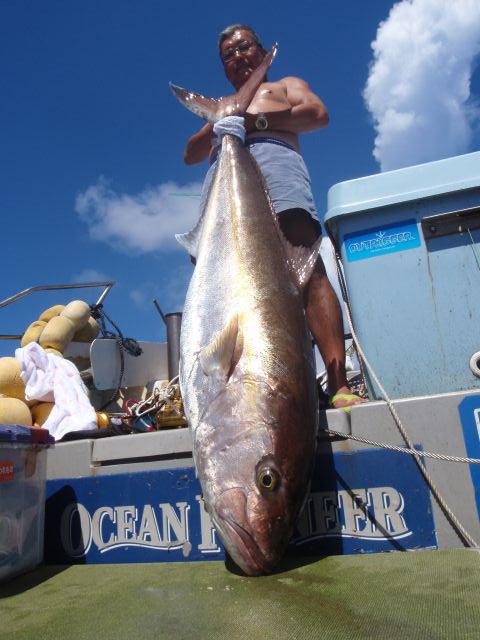 a0133388_975726.jpg