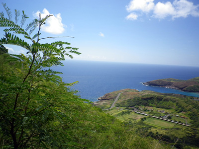f0220791_17101435.jpg