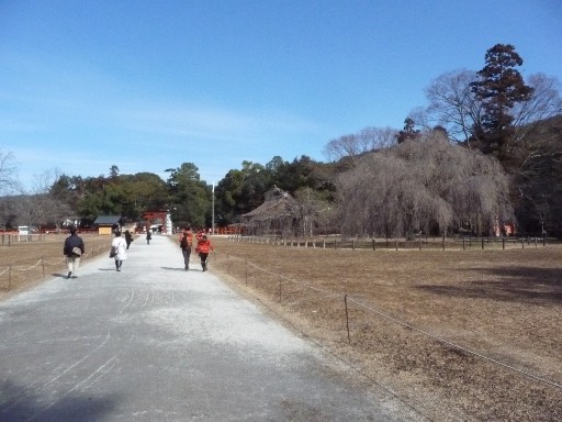 c0108693_2392999.jpg