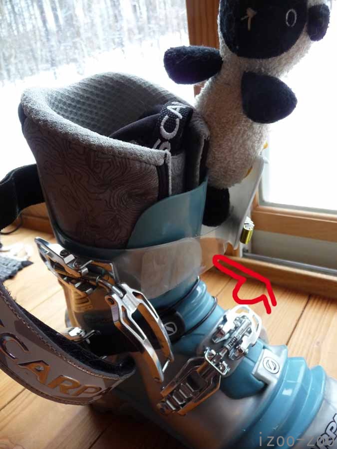 ecoecoエクステンショ〜ン_c0223095_10535784.jpg
