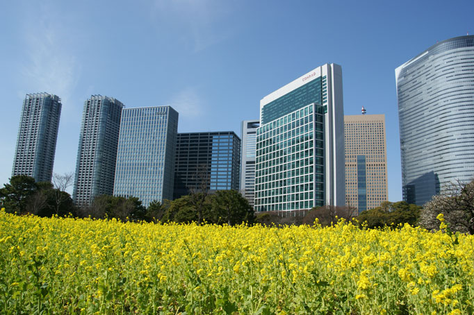 f0036603_2236365.jpg