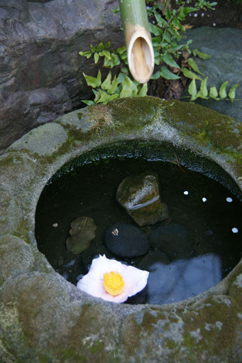 f0036603_22385650.jpg