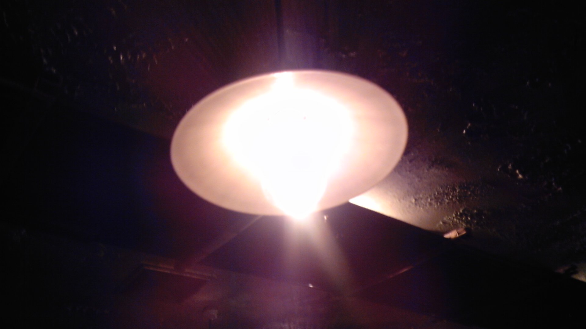 e0108705_1195748.jpg