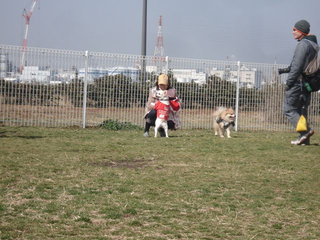 b0148106_7253150.jpg