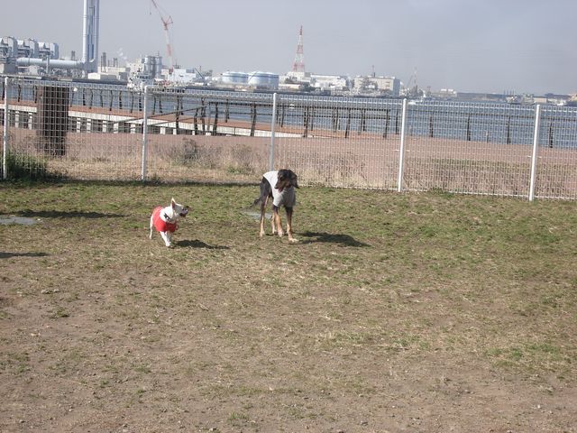 b0148106_7353679.jpg