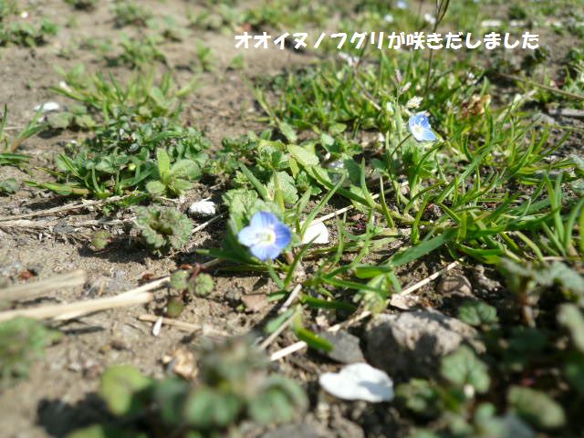 e0094407_23382138.jpg