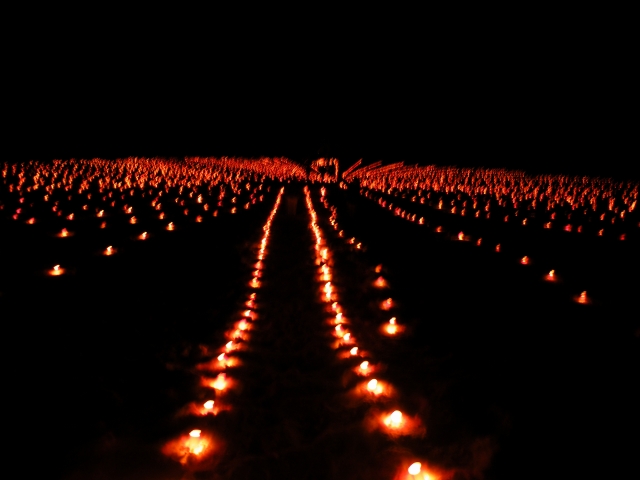 c0211110_17363935.jpg