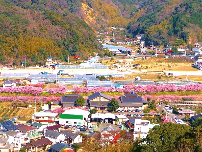 f0182513_0374619.jpg