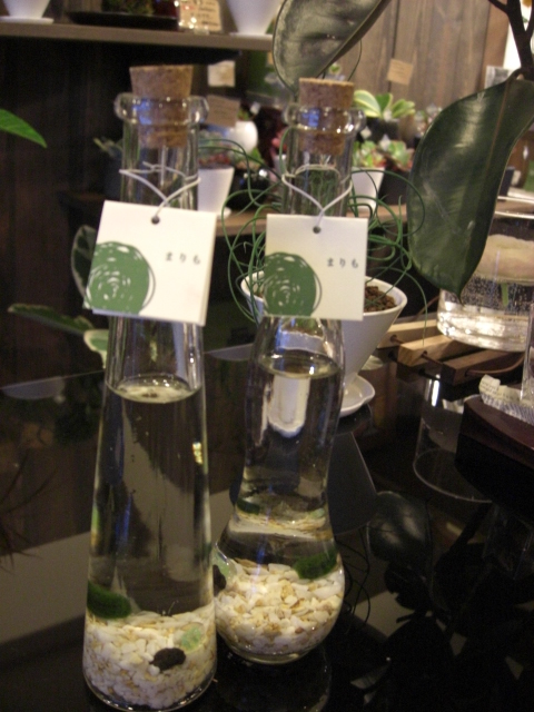 f0226713_18123018.jpg