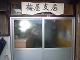 d0086228_1682878.jpg