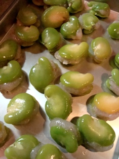 こないだの撮影・・・主役は野菜たち(^^♪_b0204930_23435293.jpg