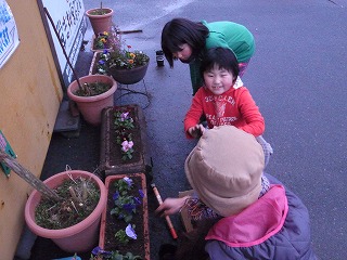 ３月１日～花壇植え込み_c0153732_10553816.jpg