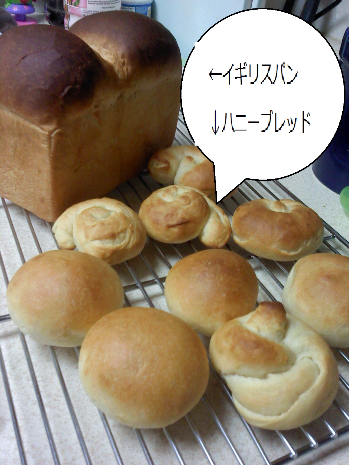 イギリスパンとハニーブレッド_f0163147_191493.jpg
