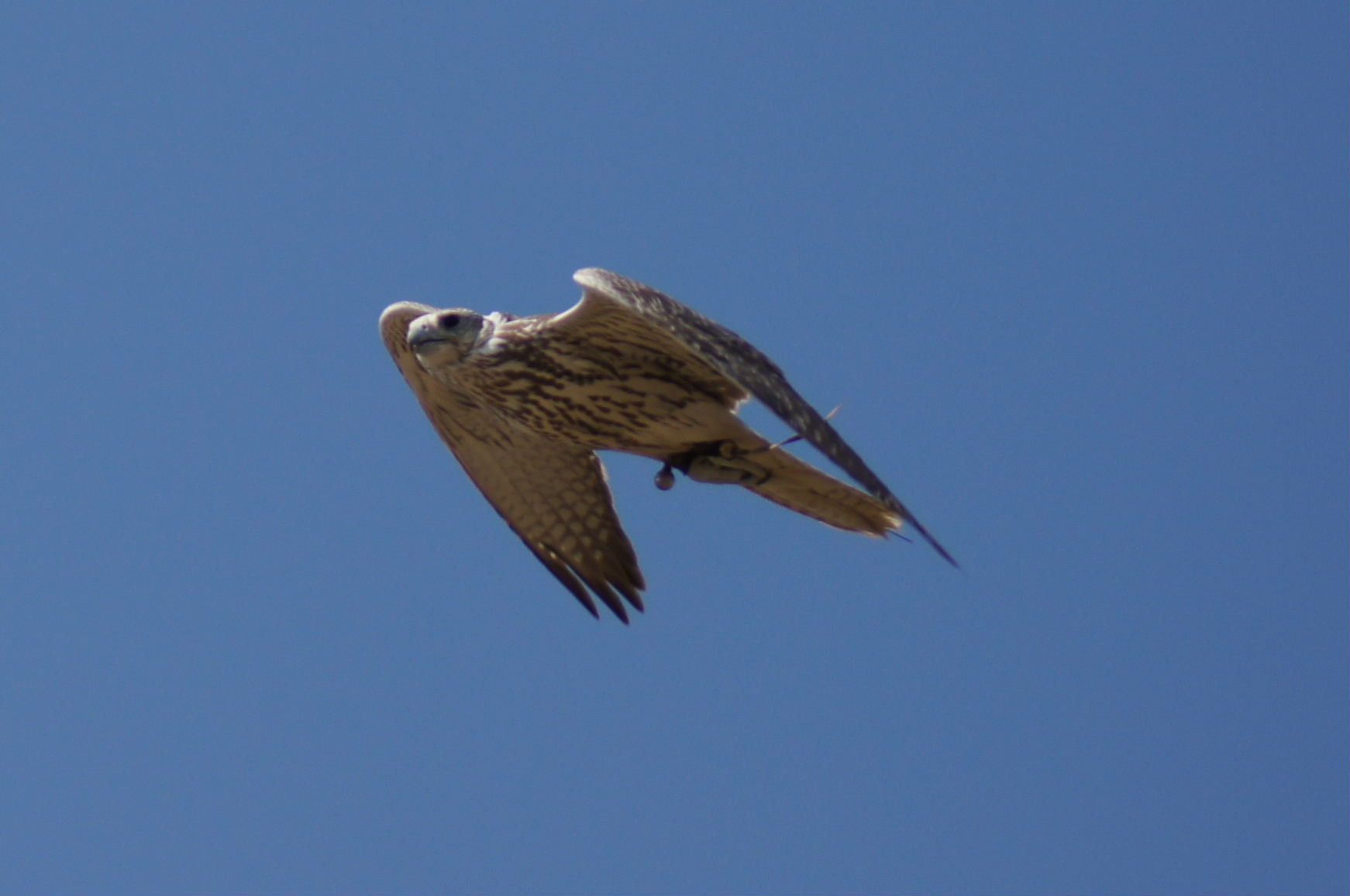 c0132048_727218.jpg