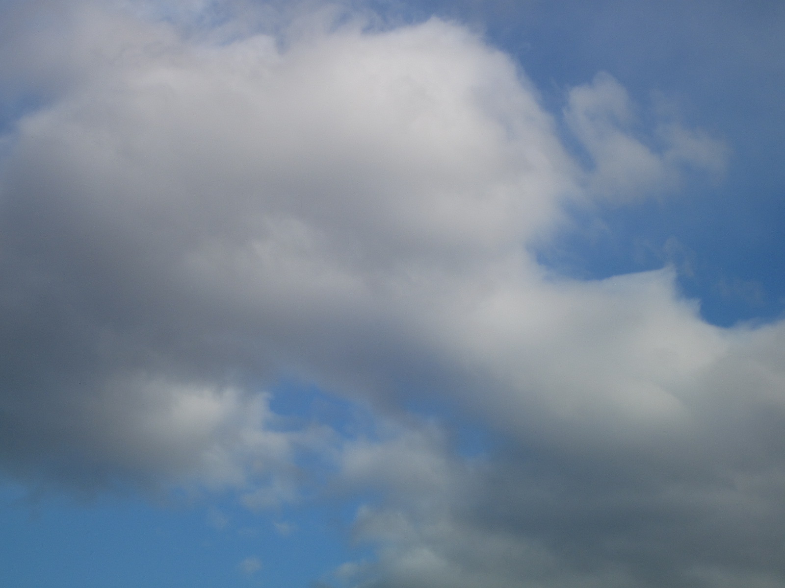 a0162251_17501777.jpg