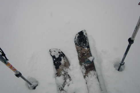 f0209354_15213419.jpg